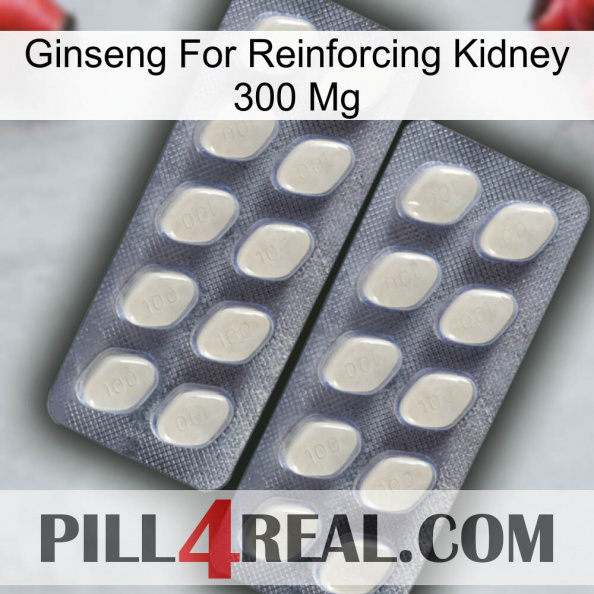 Ginseng For Reinforcing Kidney 300 Mg 07.jpg